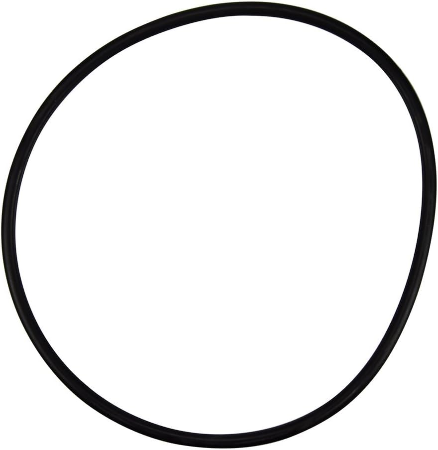 PENTAIR 356780 O-RINGS & GASKETS