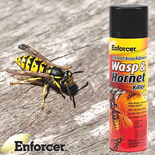 ENFORCER Enforcer EWHIK16 Instant Knockdown Wasp and Hornet Killer Spray 16 oz Pack of 12
