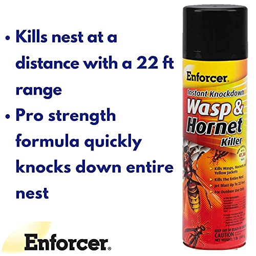 ENFORCER Enforcer EWHIK16 Instant Knockdown Wasp and Hornet Killer Spray 16 oz Pack of 12
