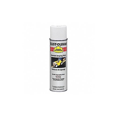 RUST-OLEUM 2391838V PAINT SUPPLIES