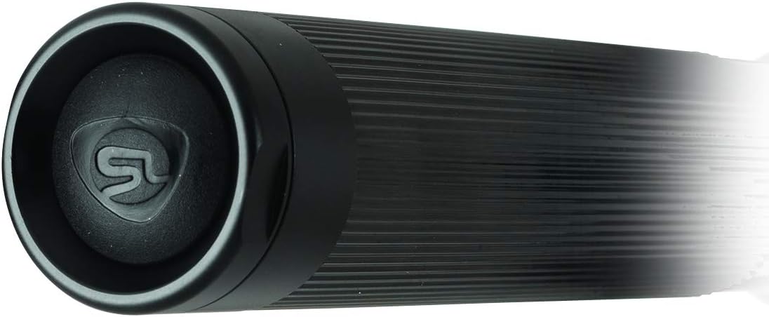 STREAMLIGHT Streamlight 75454 Stinger DS 800-Lumen LED High Lumen Rechargeable Flashlight with 120-Volt AC/12-Volt DC Charger and 2 Holders