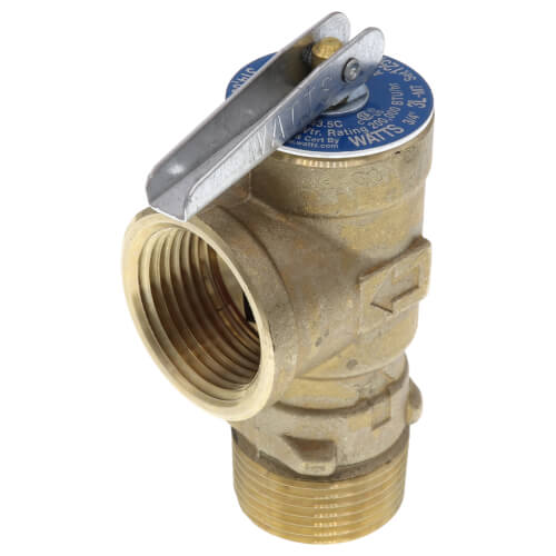 RAYPAK Raypak 008091F Pressure Relief Valve 125 PSI