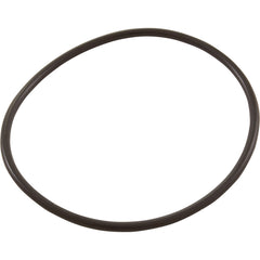HAYWARD Hayward GLX-DIY-ORING O-Ring Replacement for Salt Chlorination Systems