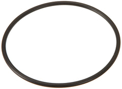 HAYWARD Hayward GLX-DIY-ORING O-Ring Replacement for Salt Chlorination Systems