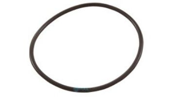 HAYWARD Hayward GLX-DIY-ORING O-Ring Replacement for Salt Chlorination Systems