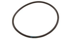 HAYWARD Hayward GLX-DIY-ORING O-Ring Replacement for Salt Chlorination Systems
