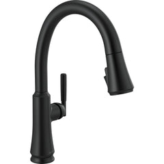 DELTA FAUCET Delta Faucet 9179-BL-DST Coranto Single Handle Pull Down Kitchen Faucet Matte Black