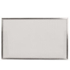 HONEYWELL Honeywell Home 50000293-003 20 X 20 Post Filter Pair