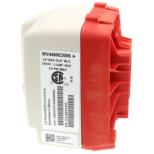 BRADFORD WHITE Bradford White 415-45614-01 120V 4 WC LP Gas Water Heater