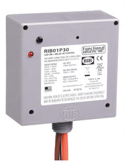 FUNCTIONAL DEVICES RIB01P30 RELAYS