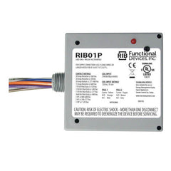Functional Devices RIB01P Enclosed Pre-Wired Relay 20A at 300Vac DPDT