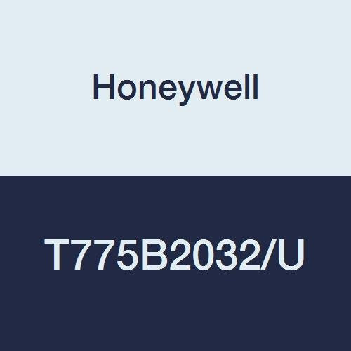 171757704.jpg