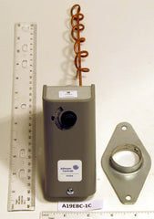 JOHNSON CONTROLS A19EBC-1C TEMPERATURE CONTROLS