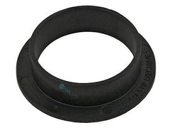 WATERWAY PLASTICS 319-1370 POOL & SPA PUMPS