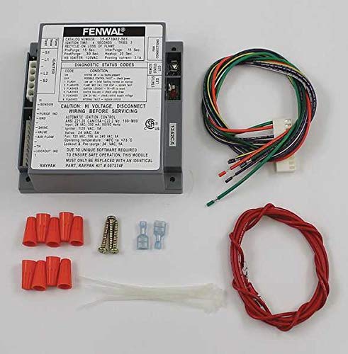 RAYPAK Raypak 007374F Module 24V HIS