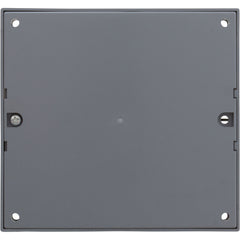 RAYPAK Raypak 007374F Module 24V HIS