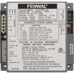 RAYPAK Raypak 007374F Module 24V HIS