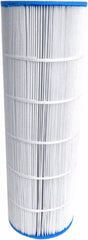 PENTAIR Pentair R173217 Cartridge Element Replacement Clean and Clear Pool and Spa Filter 200 Square Feet