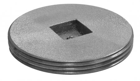 JONES STEPHENS Jones Stephens P54800 8 Ext Cover Brass Plug CSK