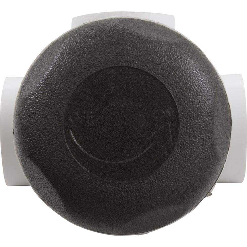 WATERWAY PLASTICS Waterway 600-4389-DSG Horizontal On/Off Turn Valve Assembly