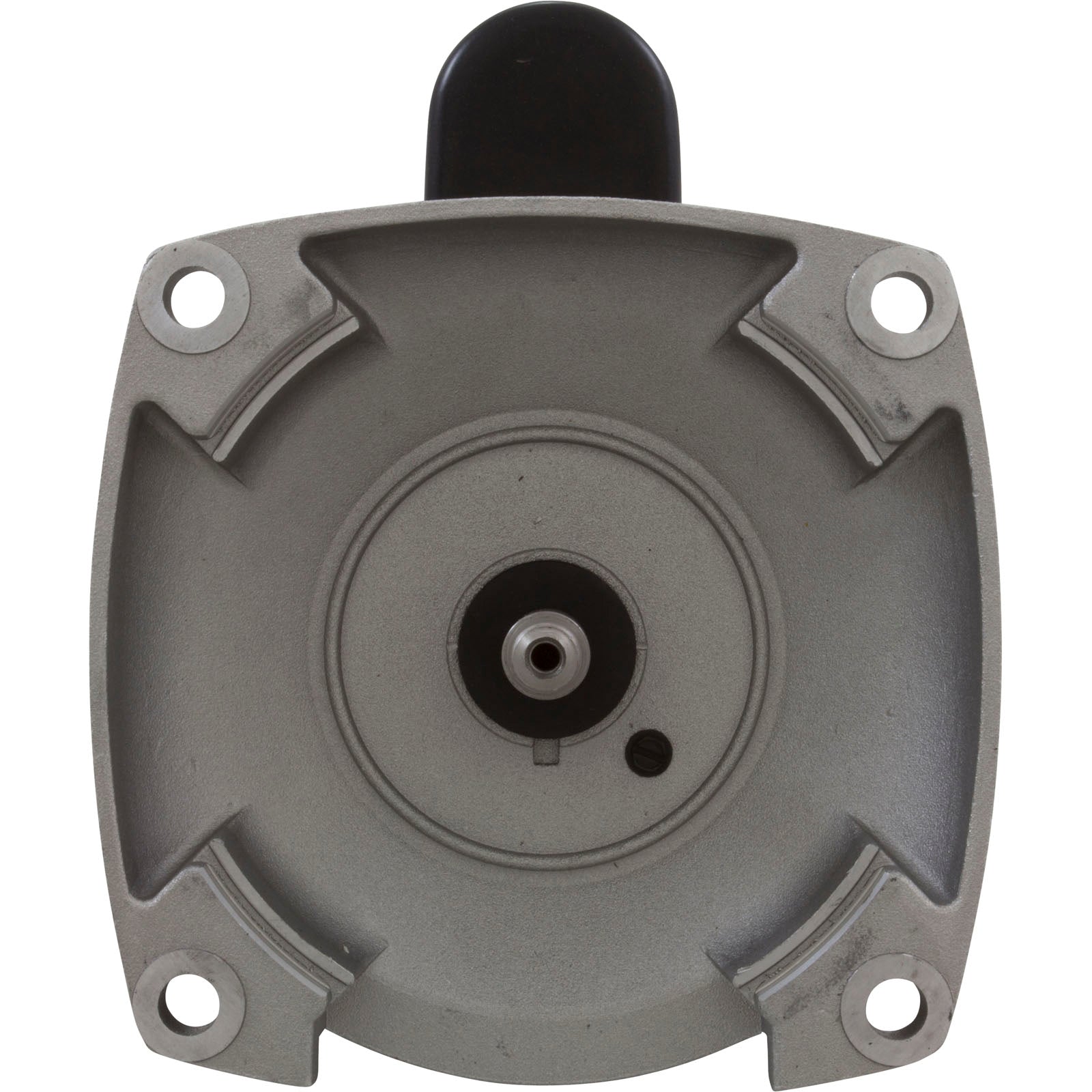 CENTURY MOTORS Regal Rexnord-Century Motors B2661 115/230V 3/4HP Pool Pump Motor 3450RPM