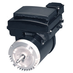 US MOTORS EVSS15-NS POOL & SPA PUMP MOTORS