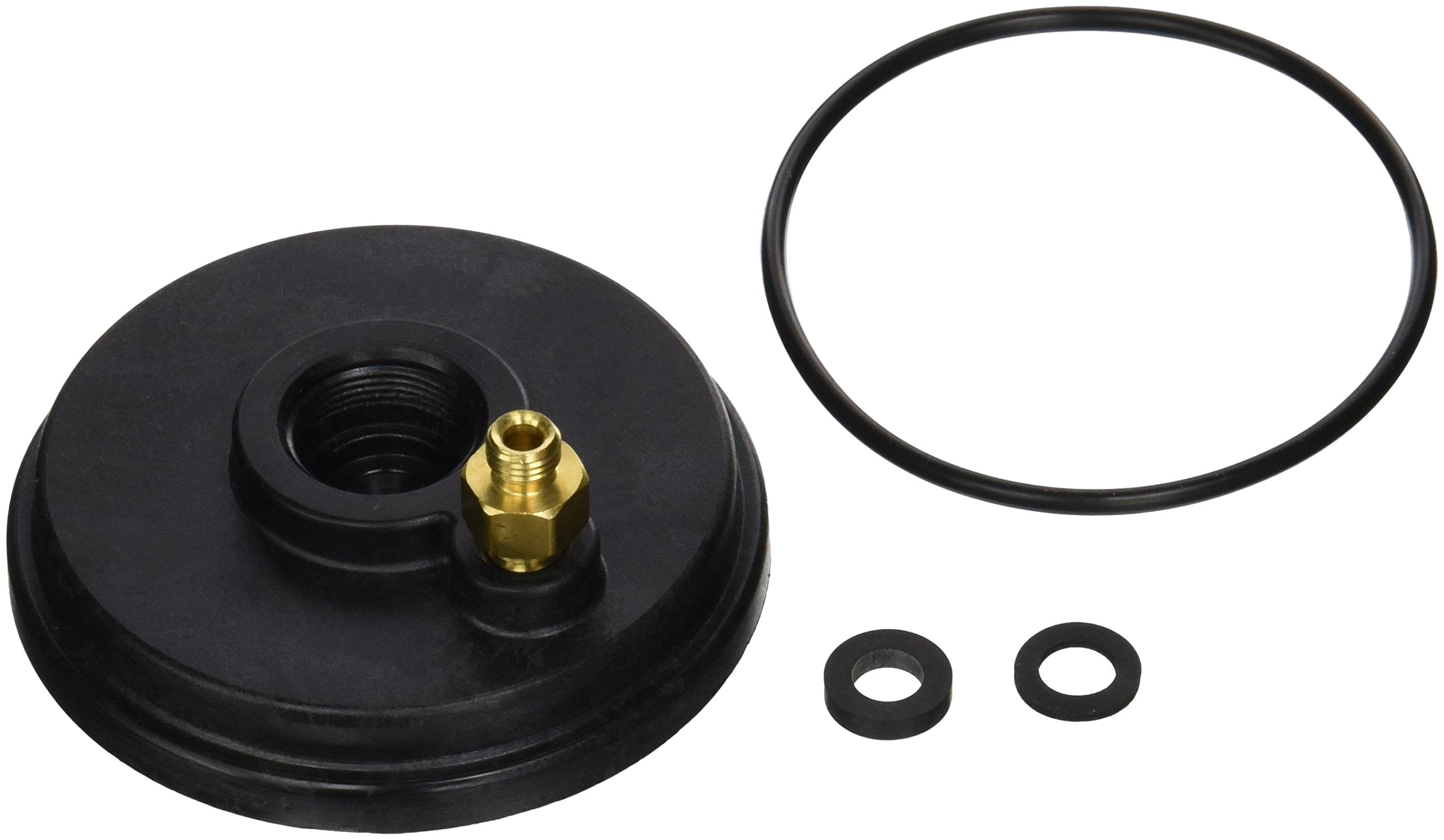 ZODIAC R0455400 O-RINGS & GASKETS