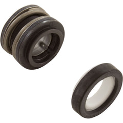 Pentair PP1566 Ovrhl Kit Al W/J105-85