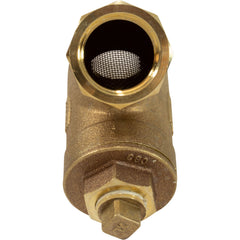 ZODIAC Zodiac BRY 1-Inch Y Strainer Replacement for Zodiac Levolor Electronic Water Level Management Systems
