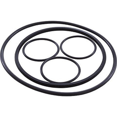 HAYWARD VLX4004A POOL O-RINGS & GASKETS
