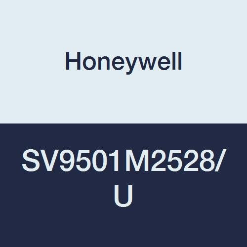 172233625.jpg