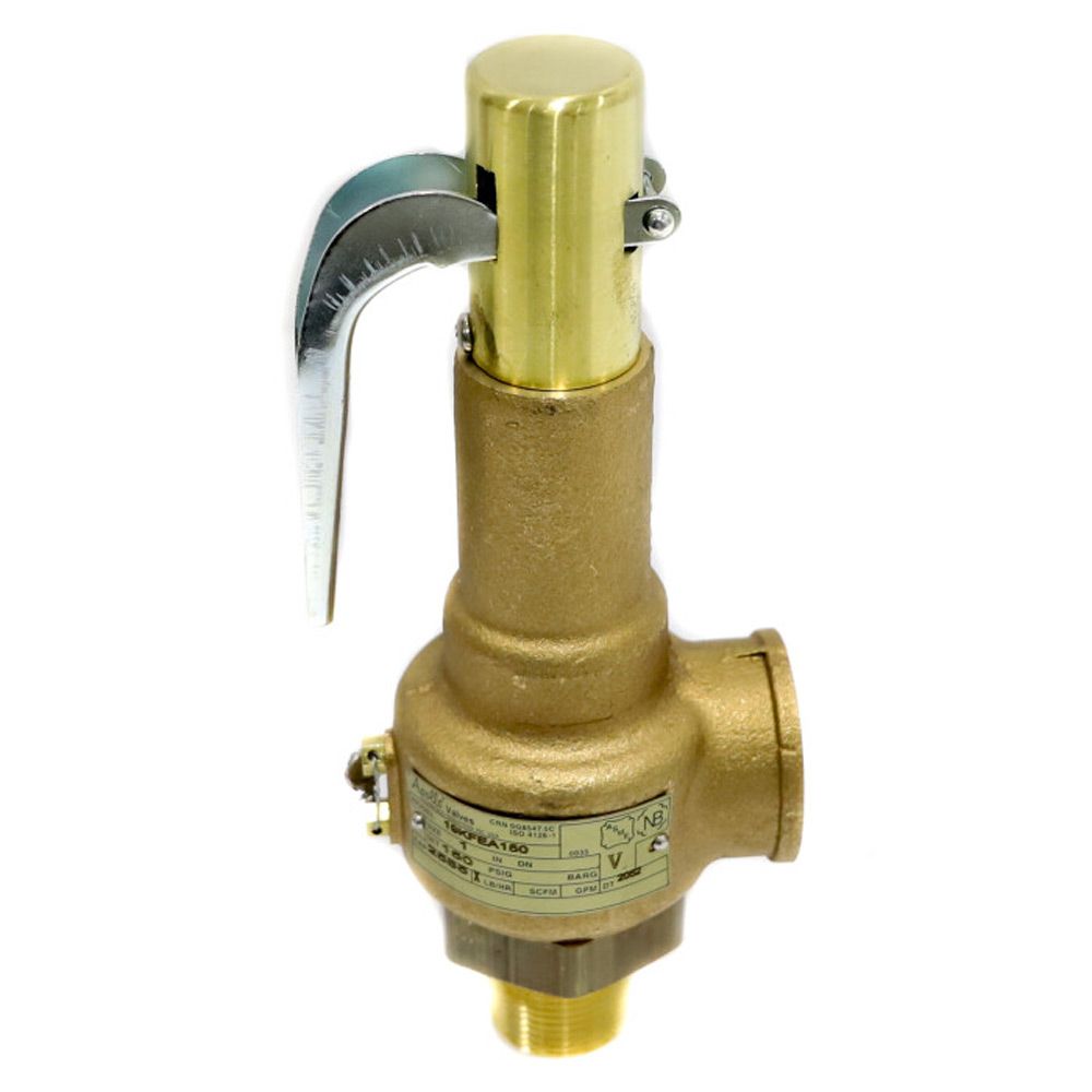 APOLLO VALVES Conbraco 19-KFEA-150 Valve 150 psi 1 x 1-1/4 NPT