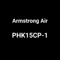 ARMSTRONG AIR PHK15CP-1 ELECTRIC HEATERS