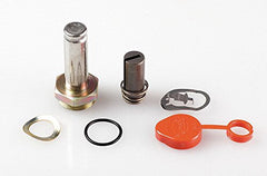 ASCO 302-018 VALVE REPAIR & REBUILD KITS