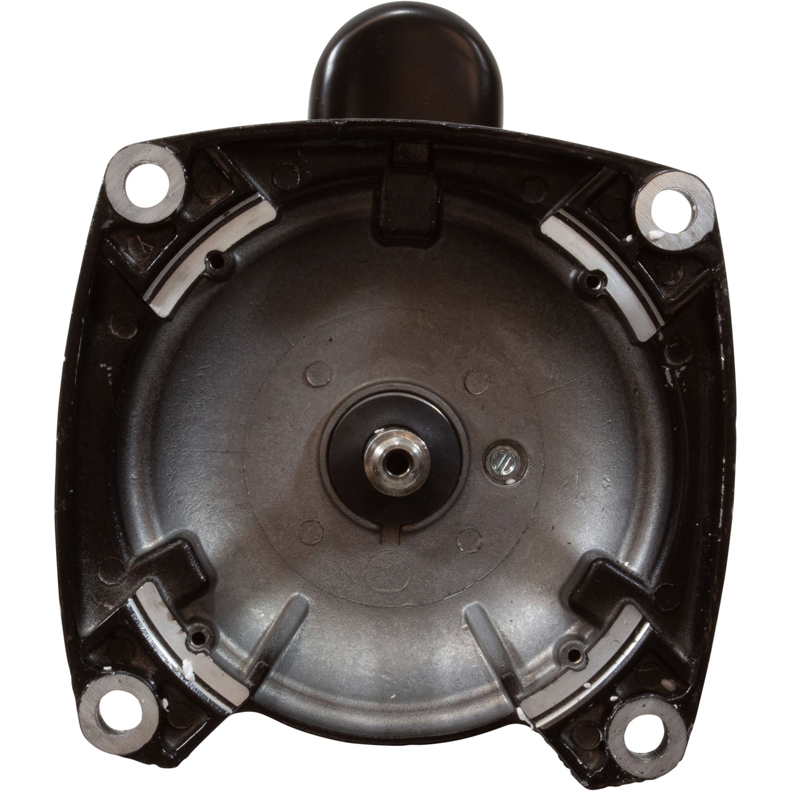 CENTURY MOTORS Century SQS1202R Pool and Spa Motor 2 HP 48Y Frame