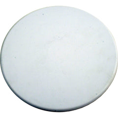 PENTAIR R172611WH POOL SWITCHES