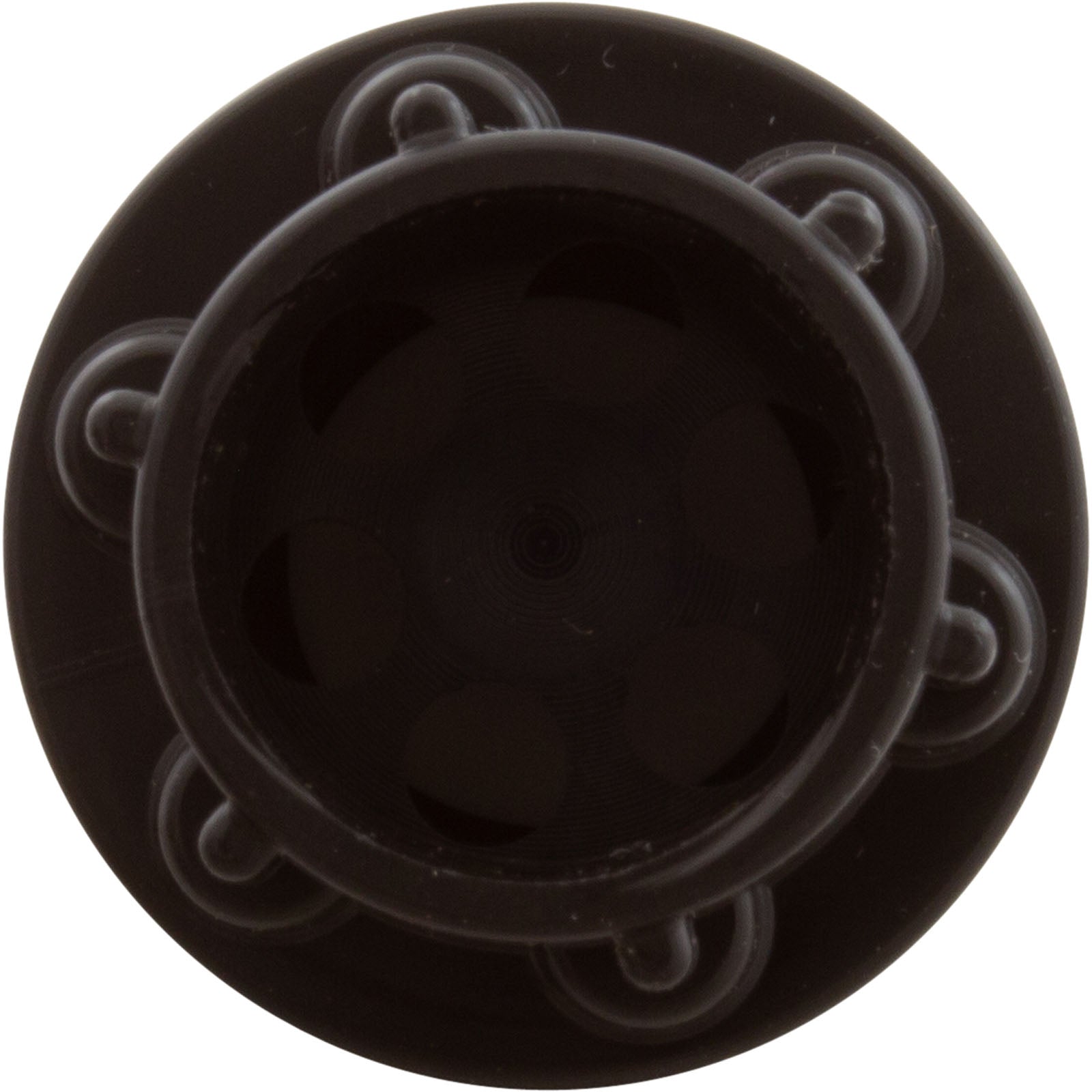 AQUASTAR POOL PRODUCTS AquaStar CH1010 Check Valve for PTR R172248