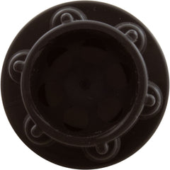 AquaStar CH1010 Check Valve for PTR R172248