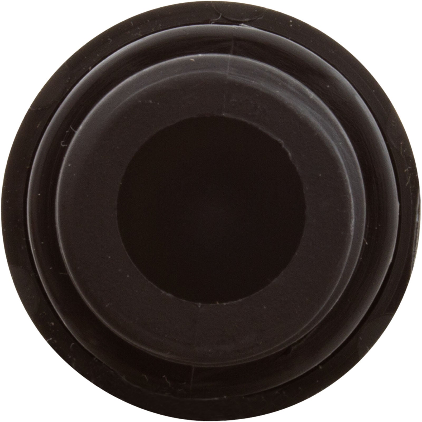 AQUASTAR POOL PRODUCTS AquaStar CH1010 Check Valve for PTR R172248