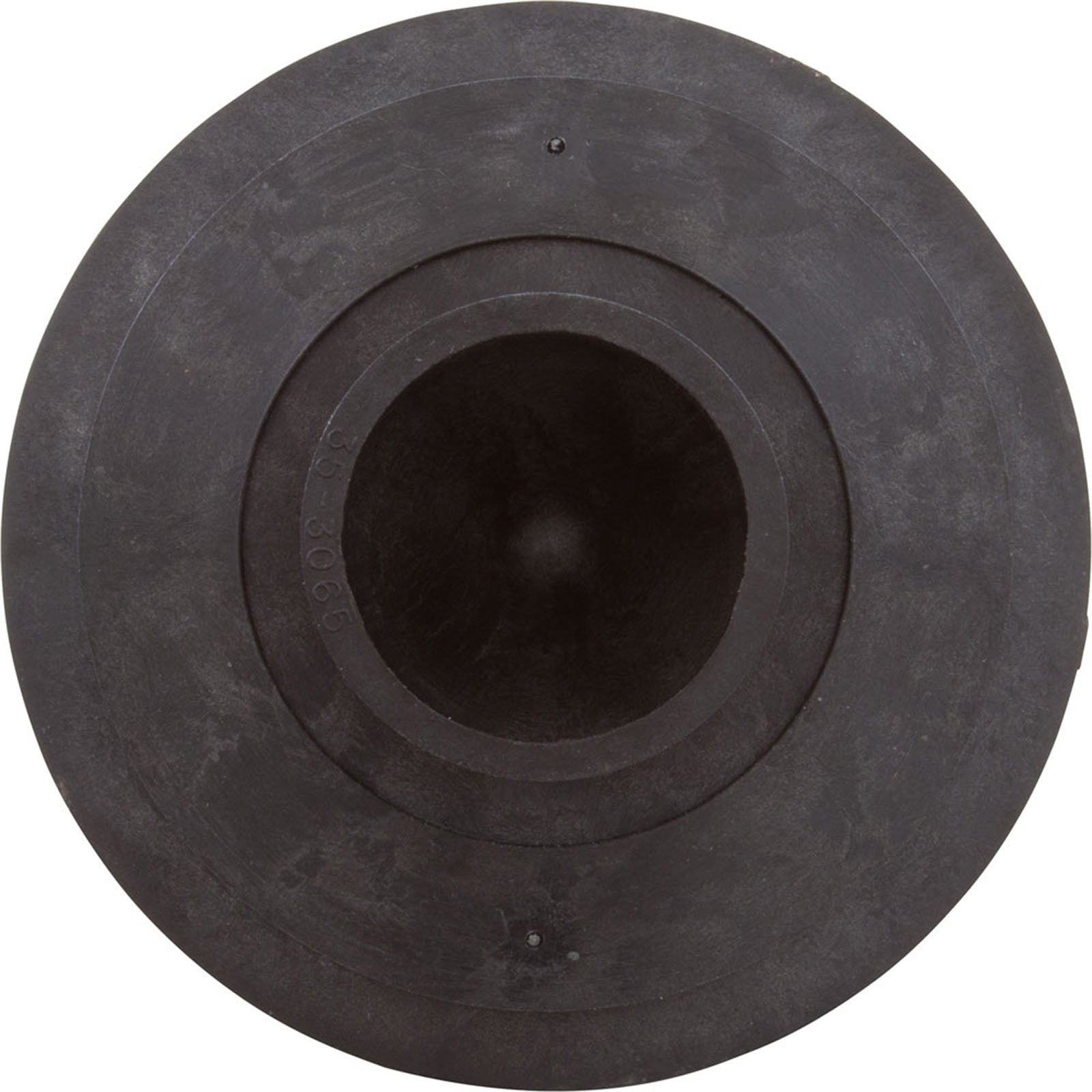PENTAIR Pentair 353066 Impeller Assembly 1Hp Dynamite