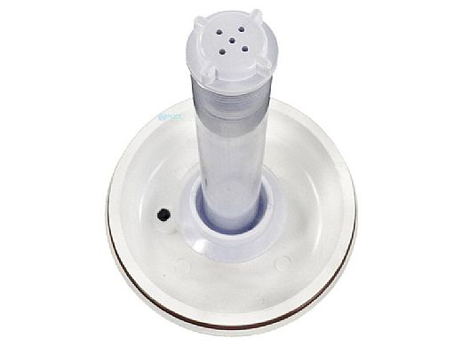 PENTAIR Pentair R172540 Chlorine And Bromine Dispenser