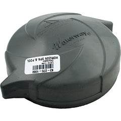WATERWAY PLASTICS 519-1167 POOL CLEANERS