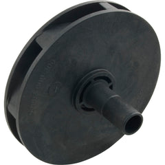 172250089.jpg