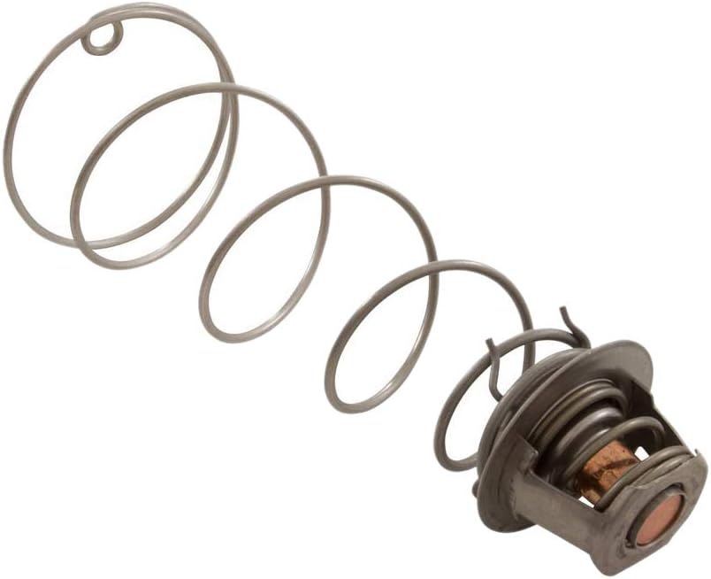 PENTAIR 460924 THERMOSTATS