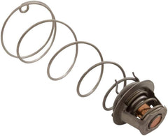 PENTAIR 460924 THERMOSTATS