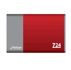 PELICAN WIRELESS SYSTEMS Z24 COMMERCIAL CONTROLS