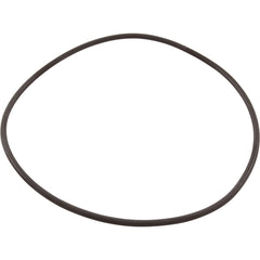 ZODIAC Zodiac W13061 O-Ring For 1 Piece Cap