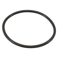 ZODIAC Zodiac R0694100 Jandy Pro Series TruClear Chlorinator O-Ring