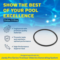 ZODIAC Zodiac R0694100 Jandy Pro Series TruClear Chlorinator O-Ring