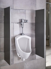 AMERICAN STANDARD American Standard 6045013.002 FloWise® 0.125 gpf Manual Flush Valve